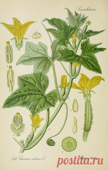 ~ MON PLAISIR ~ Вещи для души. Винтаж,Прованс.