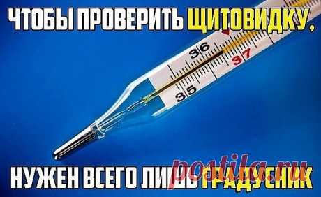 Чтобы проверить свою щитовидку, нужен только градусник 
Мало кто об этом знает, но еще 50 лет назад ученый Брода Отто Барнс обнаружил, что температура тела - отличный индикатор того, как работает ваша щитовидная железа. 

Есть только один нюанс: температуру тела нужно мерять сразу после пробуждения, еще в кровати. 

Барнс заметил, что ненормальная температура по утрам - первый признак воспалительного процесса в щитовидной железе. А сейчас все знают, что если этот орган наш...