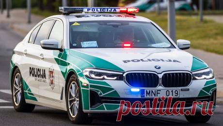 В Вильнюсе ученого обвинили в избиении активиста за плакат "Литва для литовцев". Литовская полиция начала расследование в отношении доцента Института международных отношений и политических наук Вильнюсского университета, политолога Константинаса Андрияускаса, который сорвал плакат с надписью "Литва для ...