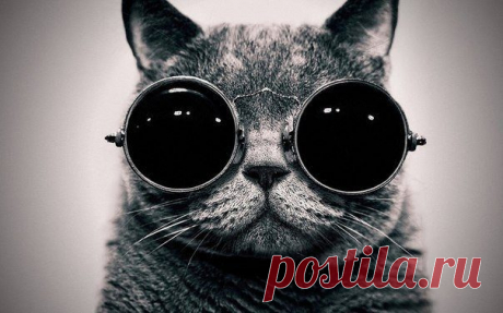 Волшебство фитнеса для глаз / Будьте здоровы