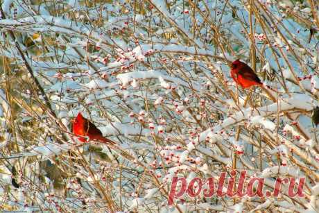 b-26325.jpg (960×640)