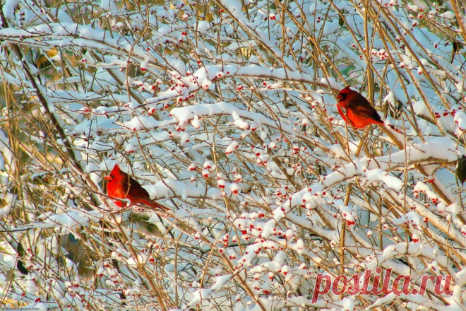 b-26325.jpg (960×640)