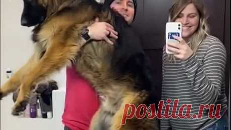 Ухи,ухи🤣🤣🤣,красавчик!