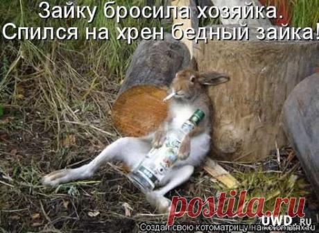 Интересные новости