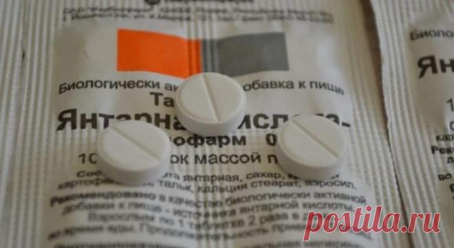 УДИВИТЕЛЬНОЕ СРЕДСТВО ДЛЯ РОСТА РАСТЕНИЙ: ЯНТАРНАЯ КИСЛОТА — В РИТМІ ЖИТТЯ