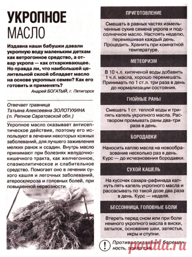 Укропное масло - лечебные свойства