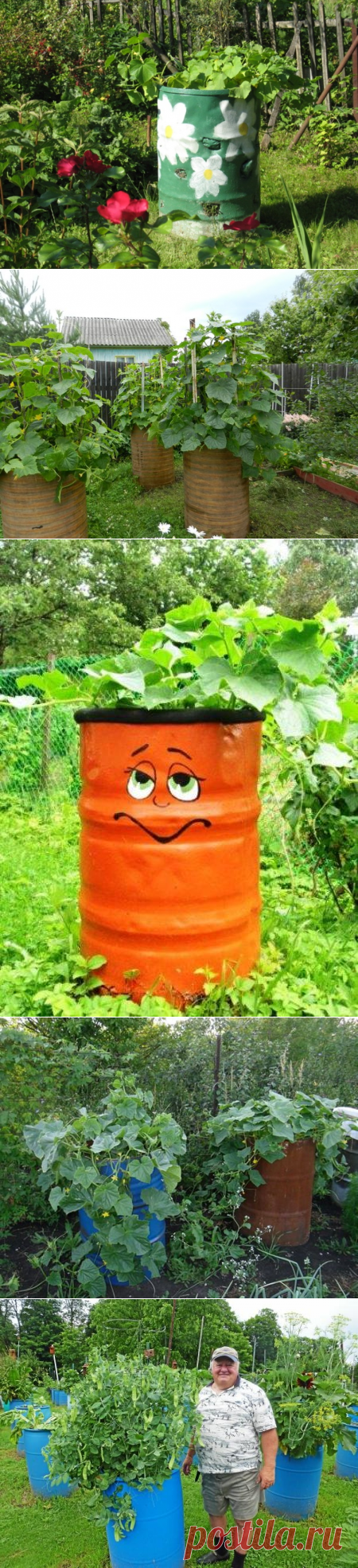 Способы выращивания огурцов в бочках
Как сажать огурцы в бочку и выращивать их для хорошего урожая
(описание, видео, фото)