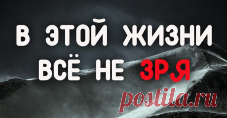 В ЭТОЙ ЖИЗНИ ВСЁ НЕ ЗРЯ