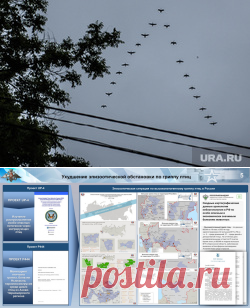 19-6-23-В России стали чаще болеть ПТИЧЬИМ гриппом из-за украинских птиц – Минобороны, фото