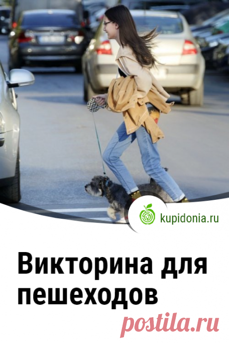 Викторина для пешеходов. Проверочный тест-викторина для детей о правилах дорожного движения для пешеходов. Проверь свои знания!
