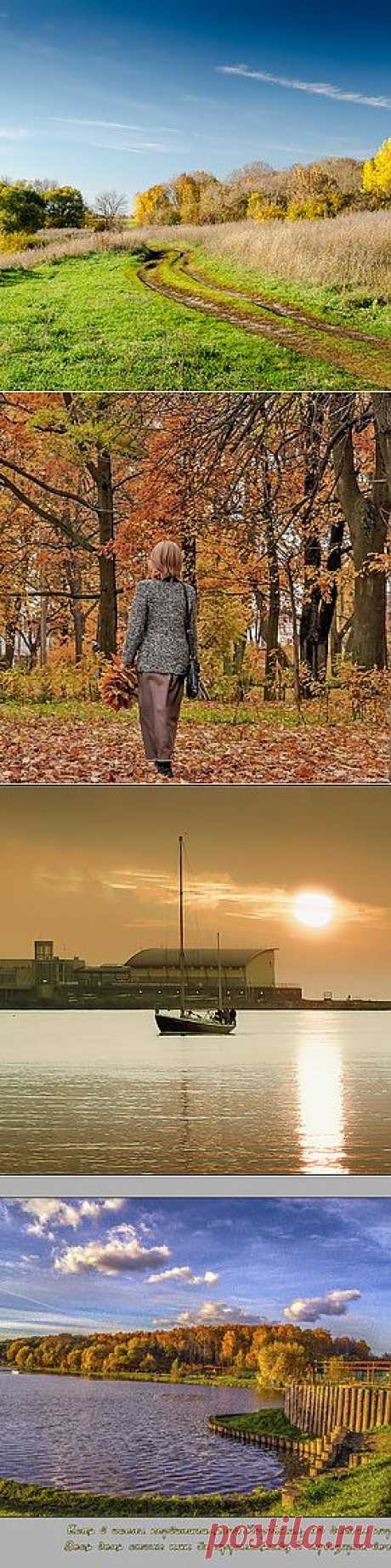 фото с сайта Расфокус