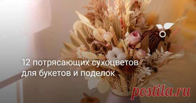 12 потрясающих сухоцветов для букетов и поделок Декоративные растения великолепны в цвету, а об их привлекательности после цветения думают немногие. На самом деле, конец сезона, когда растения завязывают семена, - один из самых прекрасных моментов жизни сада. Собирая цветы и листья осенью, вы получите сокровищницу красивых засушенных растений. В дальнейшем их можно будет использовать круглый год для декорирования и творчества. О том, какие растения лучше всего подходят на эту роль, наша статья.