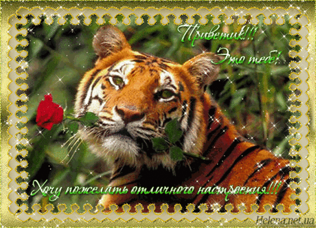 h-3124.jpg (600×433)