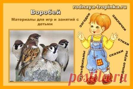 Воробей