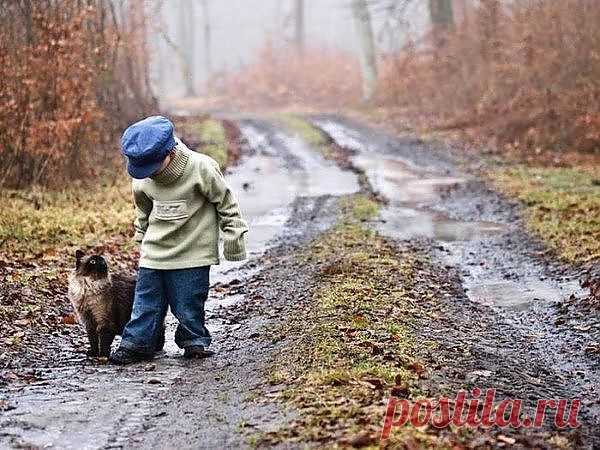 (74) Одноклассники