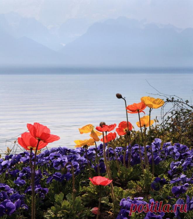 Весна в Европе! Швейцария