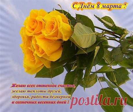 БЛАГОДАРНОСТИ - 50 фото. Фотографии zoja simonova.