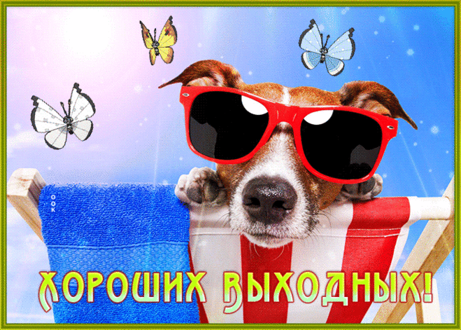 Открытка хороших выходных с забавным песиком