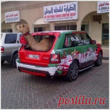 Веселые картинки фотографические. &quot;Тем временем в Дубае&quot; (не все же про Россию...там тоже люди чудят)