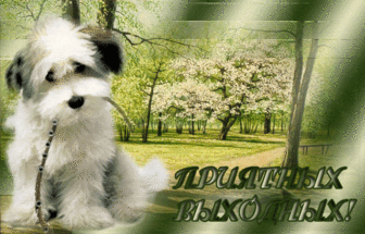 Выходные наступили!!!!