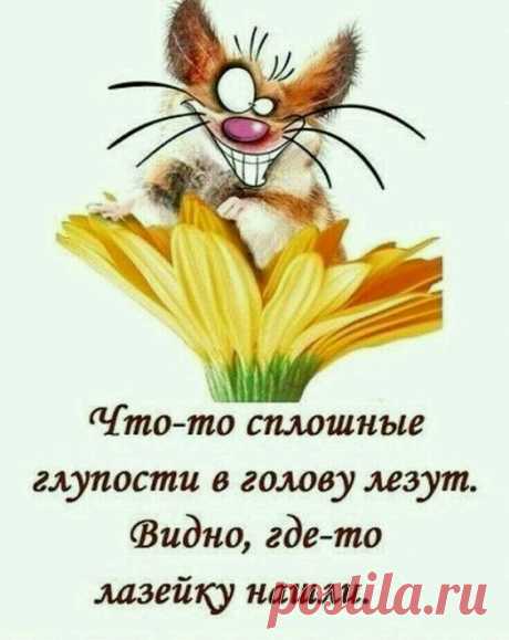 - А как по дереву определить, где север, а где юг?... Знаете ли Вы, почему среди археологов так много женщин? Потому, что женщины любят копаться в прошлом.Утро понедельника это время, когда ты завидуешь