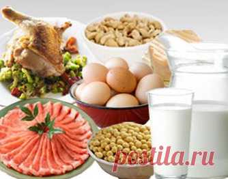 Какие продукты предпочтительнее выбирать для восполнения дневной нормы белка