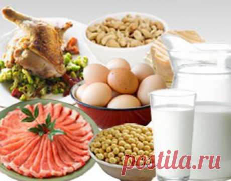 Какие продукты предпочтительнее выбирать для восполнения дневной нормы белка