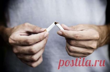 Тренируйте свой мозг, чтобы избавиться от вредных привычек — Моя кухня