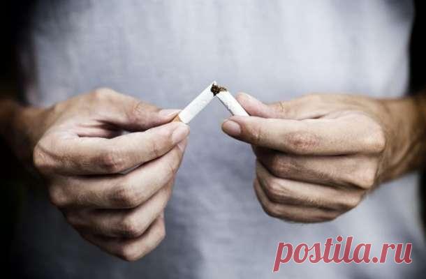 Тренируйте свой мозг, чтобы избавиться от вредных привычек — Моя кухня