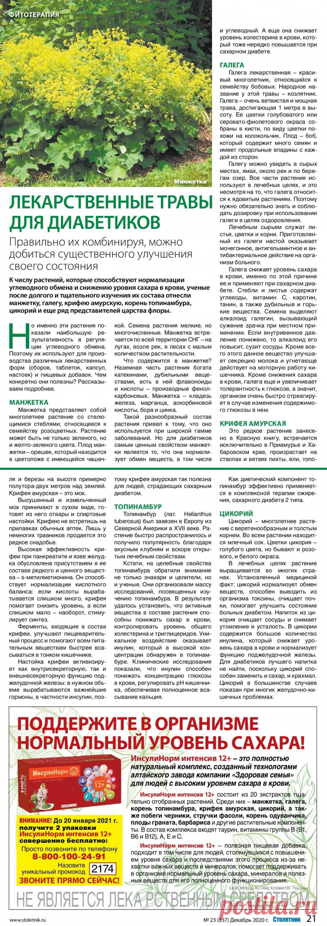 Лекарственные травы для диабетиков