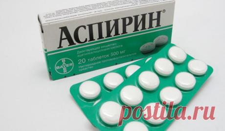 Посадите в саду таблетки АСПИРИНА. Эффект волшебный! — Мир интересного