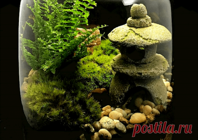 Флорариумы: виды, описание, идеи оформления ~ Planetalsad