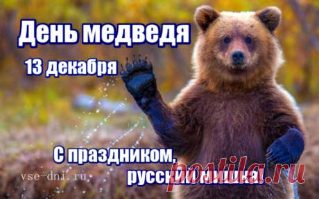 День медведя - интересные факты о хозяине леса &amp;raquo; Женский Мир