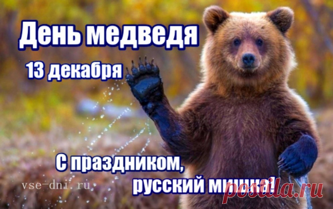 День медведя - интересные факты о хозяине леса &raquo; Женский Мир