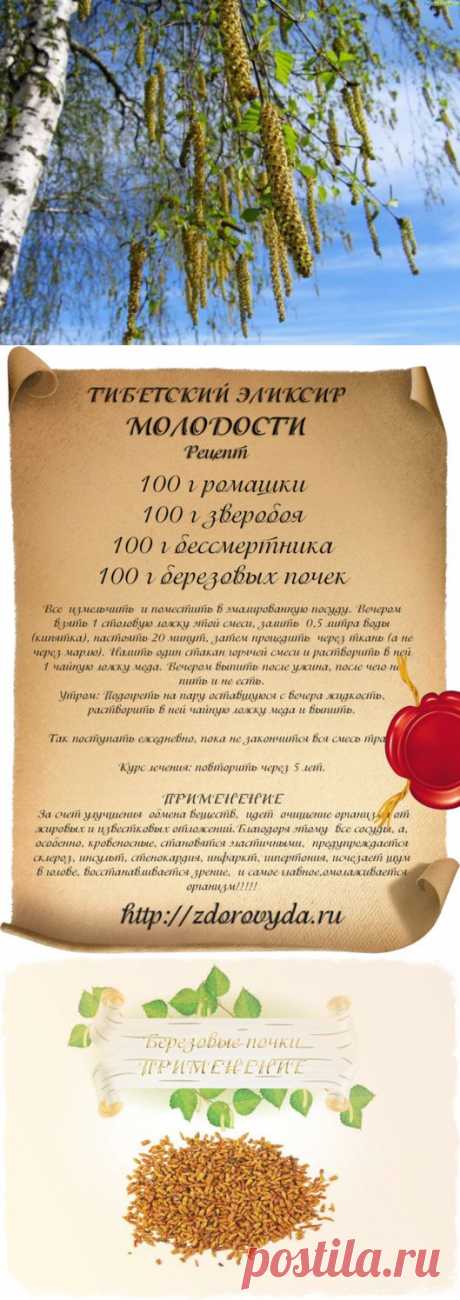 УНИКАЛЬНЫЕ ЛЕЧЕБНЫЕ СВОЙСТВА БЕРЕЗОВЫХ ПОЧЕК И ИХ ПРИМЕНЕНИЕ. | Познавательный сайт ,,1000 мелочей&quot;