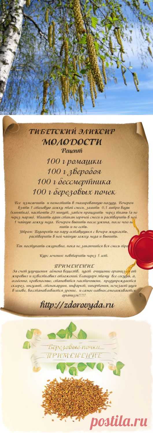 УНИКАЛЬНЫЕ ЛЕЧЕБНЫЕ СВОЙСТВА БЕРЕЗОВЫХ ПОЧЕК И ИХ ПРИМЕНЕНИЕ. | Познавательный сайт ,,1000 мелочей"