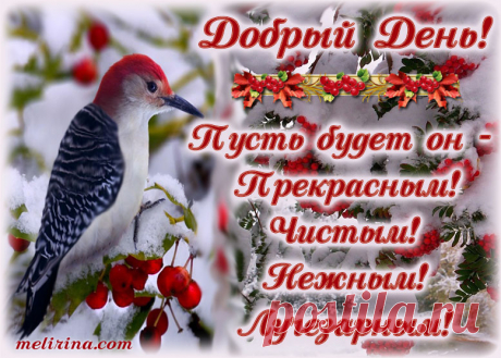 Добрый День!Пусть будет он - ПРЕКРАСНЫМ! ЧИСТЫМ! НЕЖНЫМ! ЛУЧЕЗАРНЫМ! - МелиринаКом МУЗЫКАЛЬНАЯ ОТКРЫТКА! Бесплатно! Пусть будет день - ПРЕКРАСНЫМ! ЧИСТЫМ! НЕЖНЫМ! ЛУЧЕЗАРНЫМ! Доброго дня!