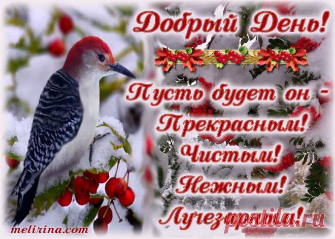 Добрый День!Пусть будет он - ПРЕКРАСНЫМ! ЧИСТЫМ! НЕЖНЫМ! ЛУЧЕЗАРНЫМ! - МелиринаКом МУЗЫКАЛЬНАЯ ОТКРЫТКА! Бесплатно! Пусть будет день - ПРЕКРАСНЫМ! ЧИСТЫМ! НЕЖНЫМ! ЛУЧЕЗАРНЫМ! Доброго дня!