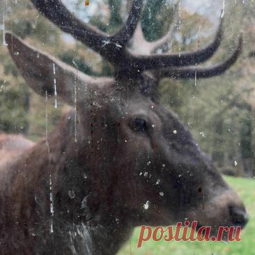 Kim Ki O - Must Live (EP) (2025) 320kbps / FLAC