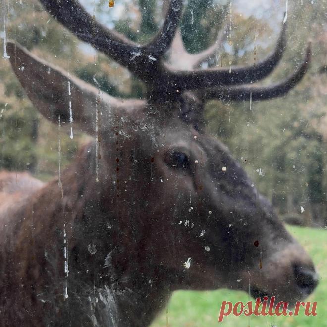 Kim Ki O - Must Live (EP) (2025) 320kbps / FLAC