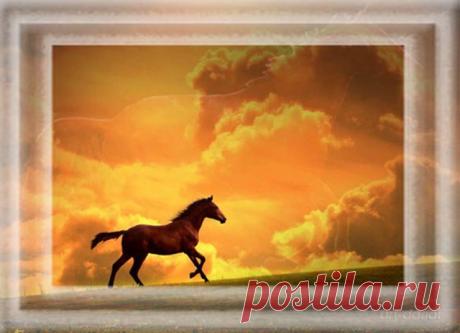 Стану  диким, прекрасным  Конём,
    Гордо  выпрямлю  стройную  спину
       И  расставшись  с  родным табуном
          Поскачу  по  широкой  равнине!

 Сброшу  наземь  узды-удила**,
    Посбиваю  о  камни  копыта,
       Как  Пегас*,  обретая  крыла,
          Улечу  вдаль,  дорога  открыта!