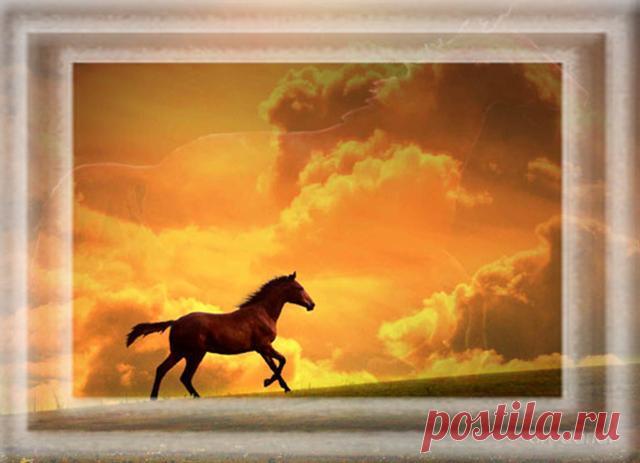 Стану  диким, прекрасным  Конём,
    Гордо  выпрямлю  стройную  спину
       И  расставшись  с  родным табуном
          Поскачу  по  широкой  равнине!

 Сброшу  наземь  узды-удила**,
    Посбиваю  о  камни  копыта,
       Как  Пегас*,  обретая  крыла,
          Улечу  вдаль,  дорога  открыта!