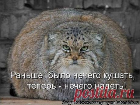 (244) Pinterest