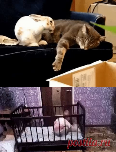 Одноклассники