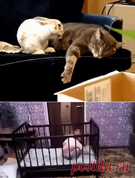 Одноклассники