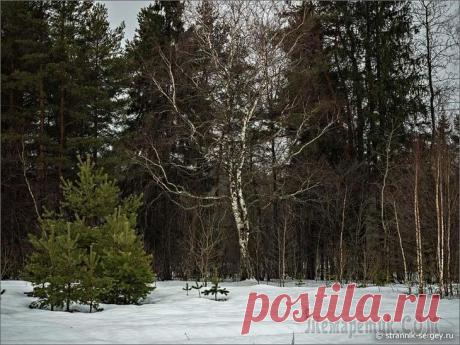 Весенние гобелены