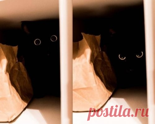 Исчезли с глаз долой и слились с интерьером