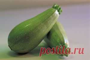 Крокеты из кабачков: рецепт оригинального овощного блюда | журнал "Лиза"