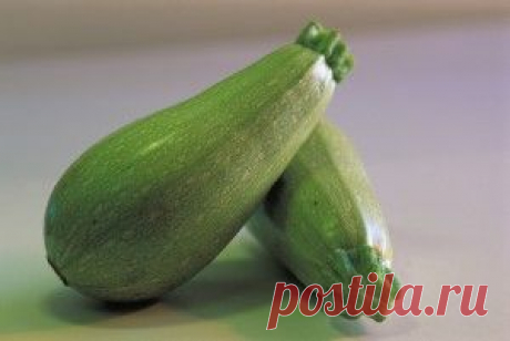 Крокеты из кабачков: рецепт оригинального овощного блюда | журнал &quot;Лиза&quot;