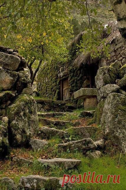 Лестницы  Facebook